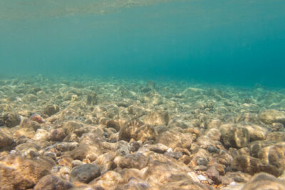 Seabed Scramble: Nations Eye Riches Beneath the Waves