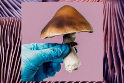Psychedelics’ Clinical Promise Hits a Snag Amidst Trial Challenges